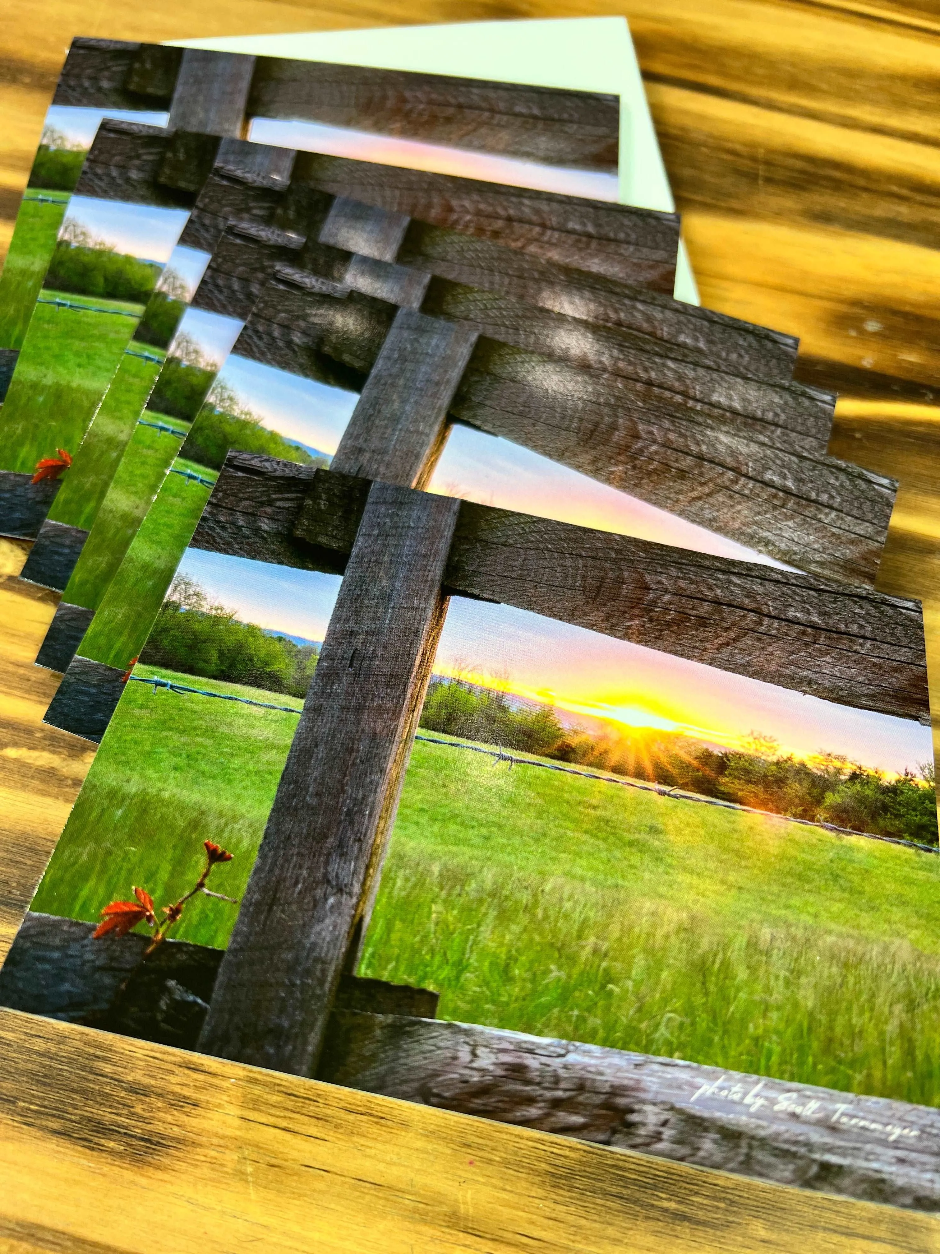 Country Life Note or Greeting Cards by Scott Turnmeyer (6pk)